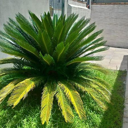 Villa Casa Agradavel Em Camboriu Com Estacionamento No Patio Exterior foto