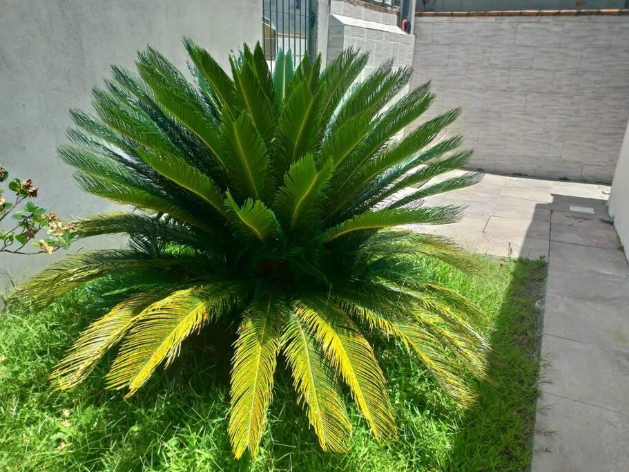 Villa Casa Agradavel Em Camboriu Com Estacionamento No Patio Exterior foto